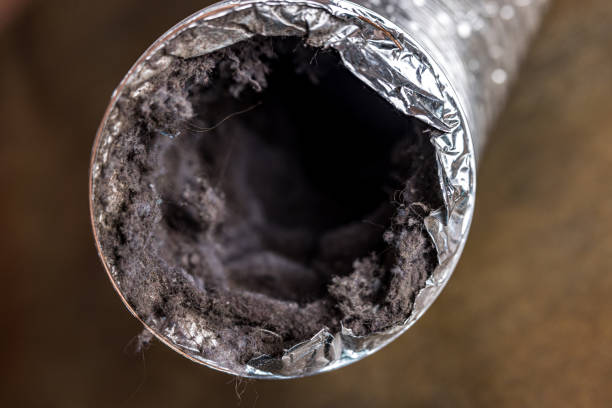 Best Affordable Air Duct Cleaning  in Mission, KS